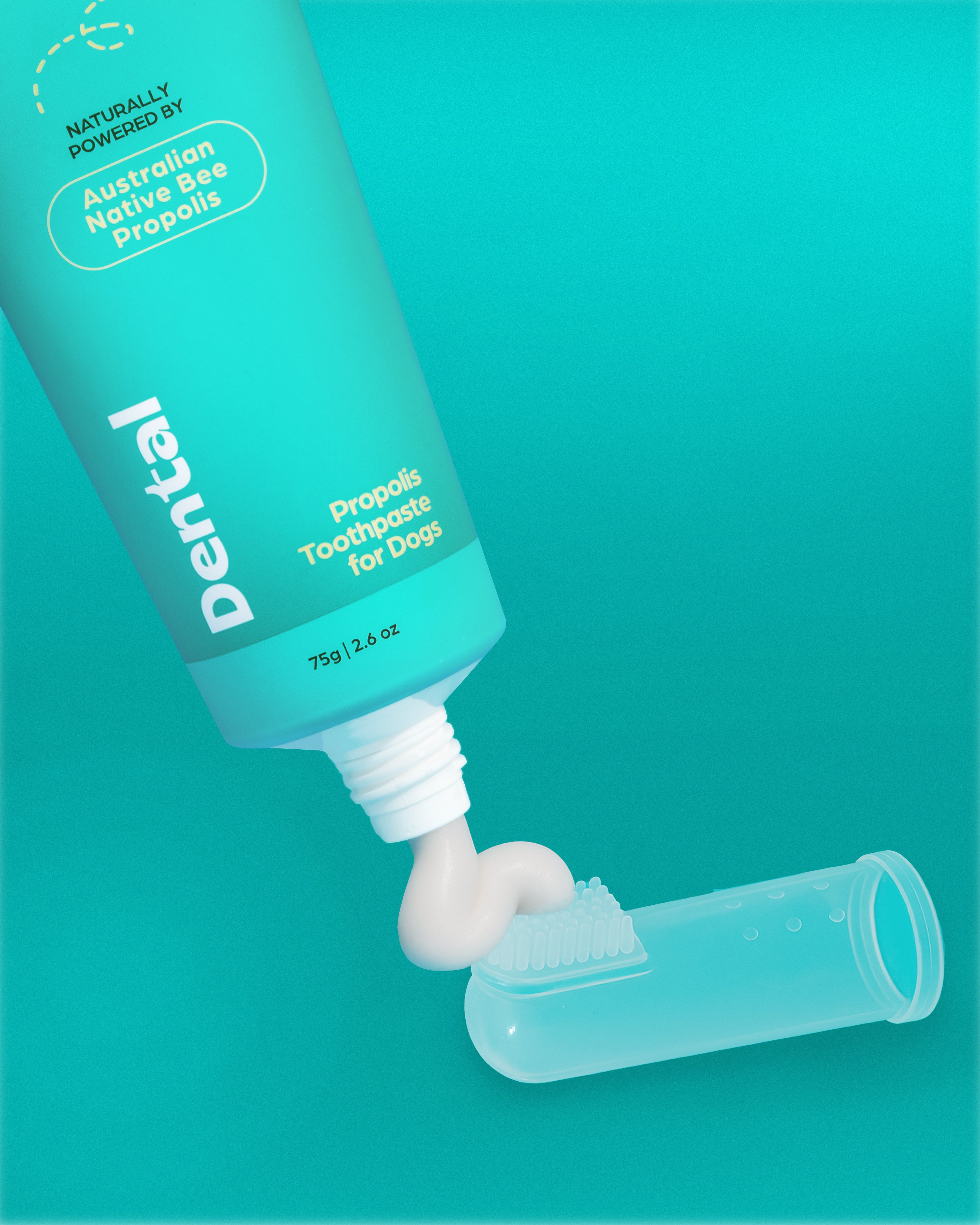 Dental Silicone Toothbrush