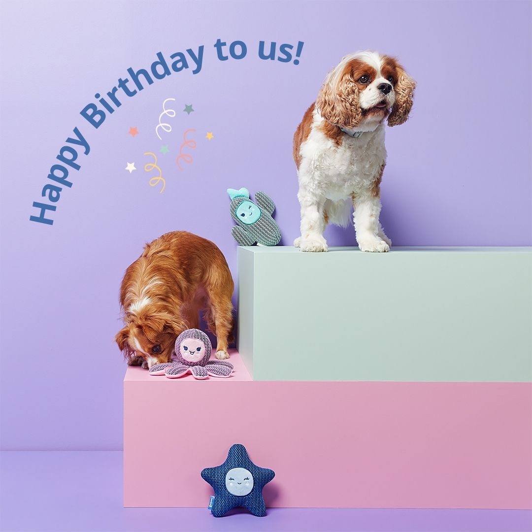 Happy Birthday to us!