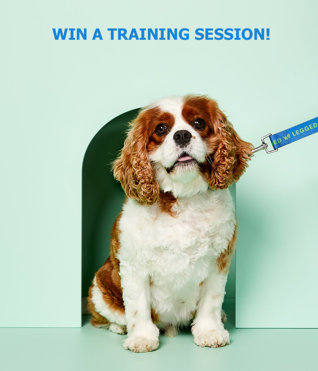 Who needs some training?