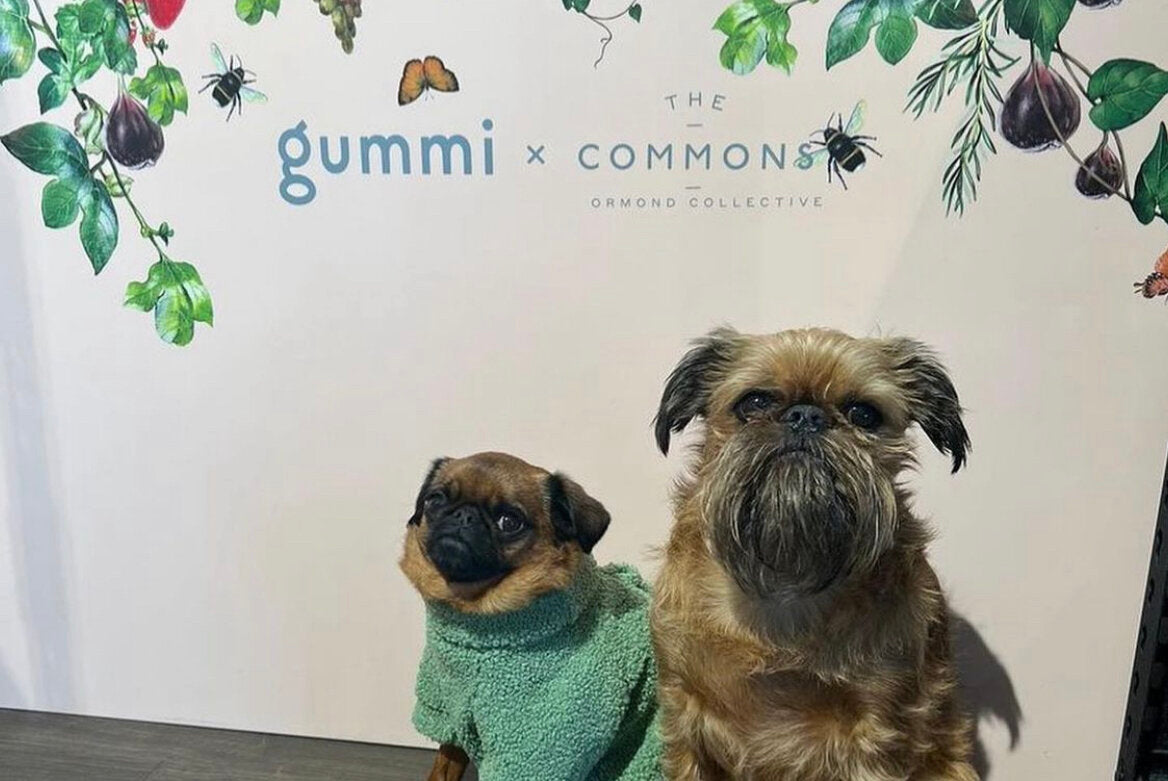 gummi x The Commons In-store