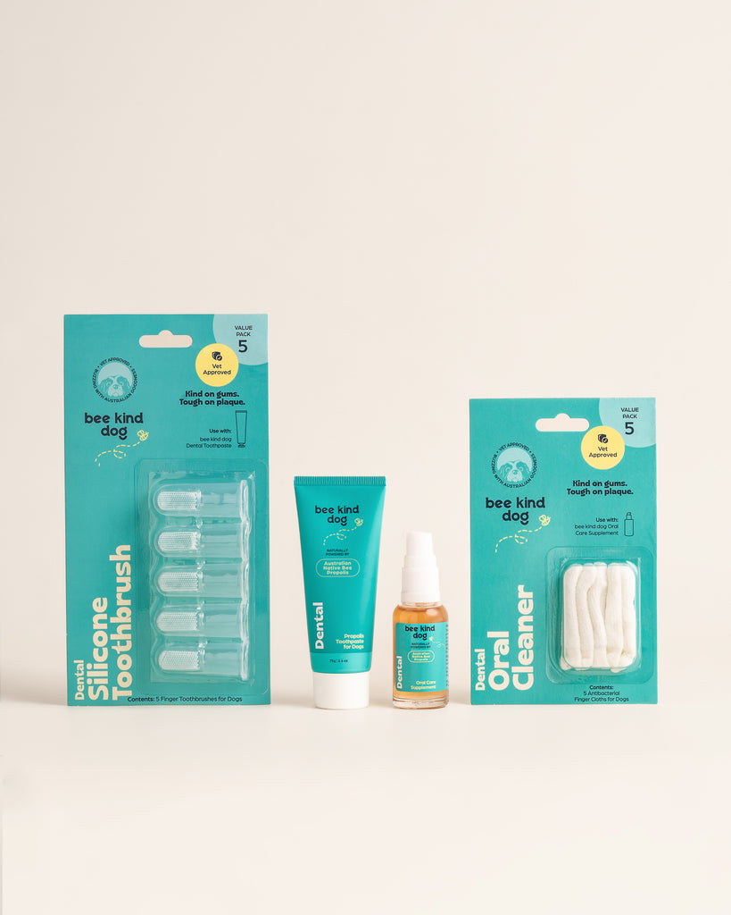 Dental Oral Cleaners