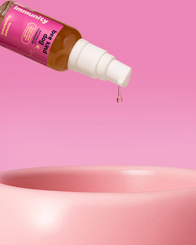 Immunity Care Supplement for Dogs