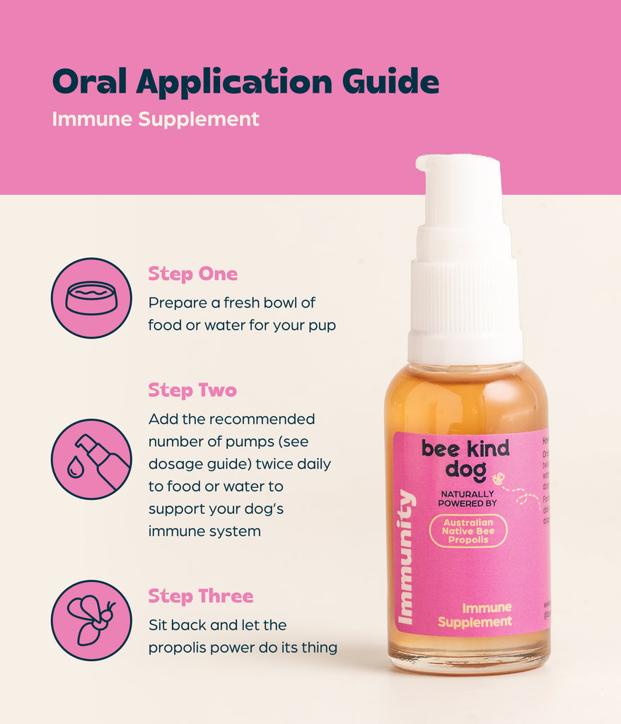 Immunity Care Supplement for Dogs