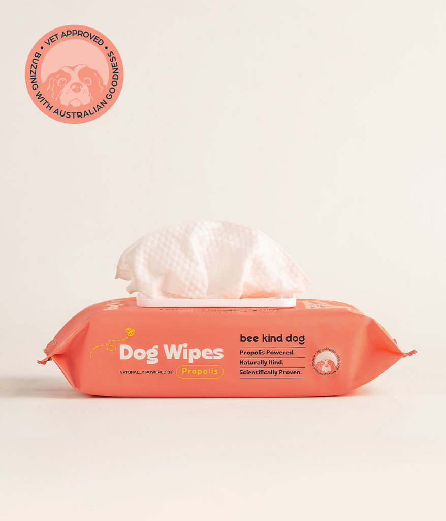 Skin Dog Wipes
