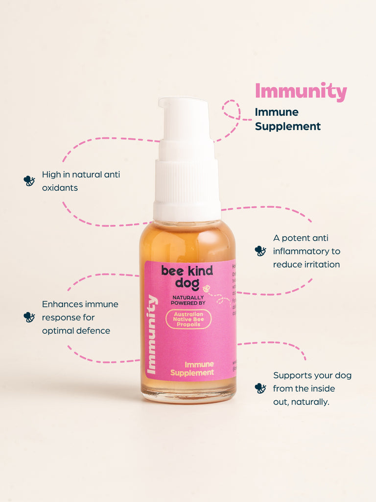 Immunity Care Supplement for Dogs