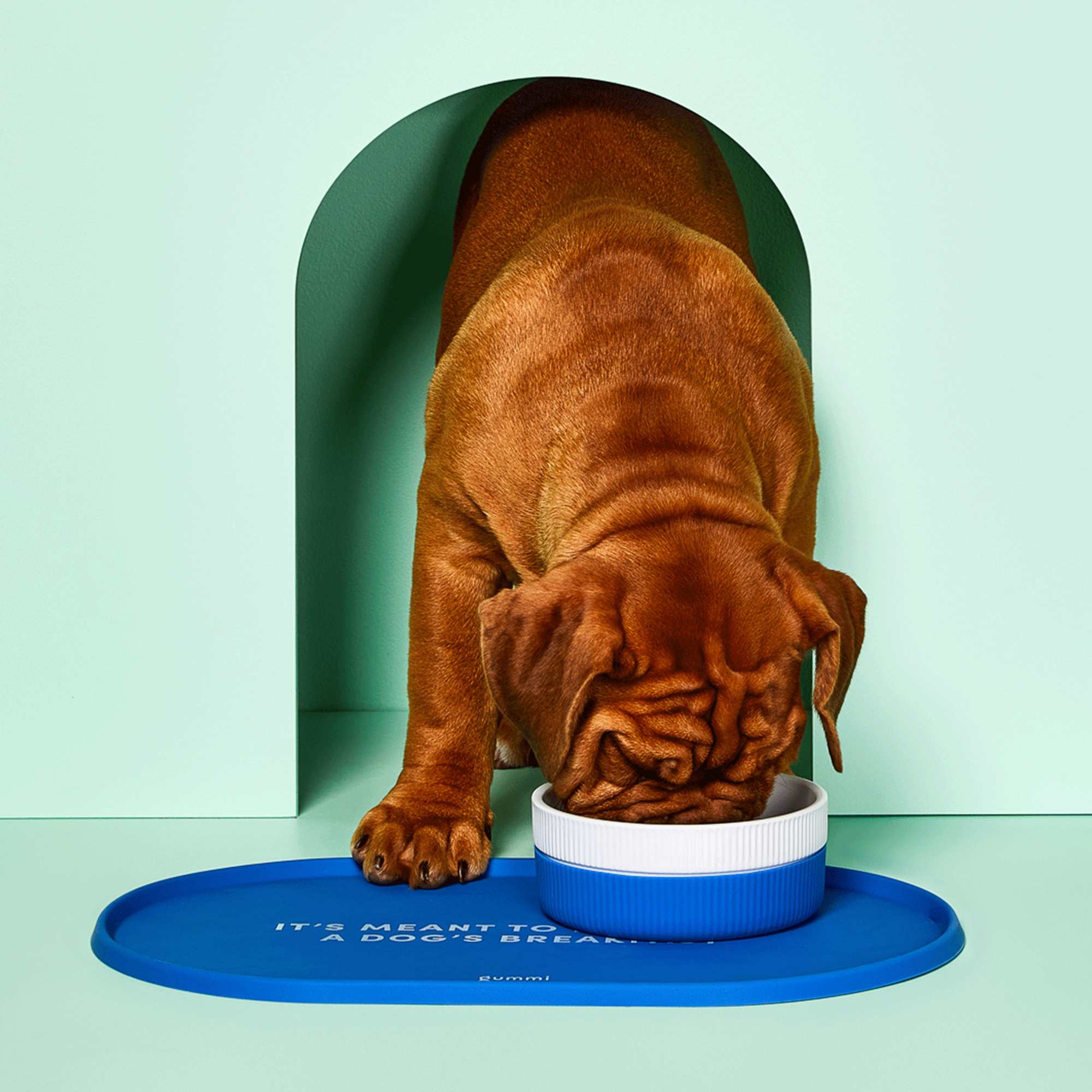 Ceramic Dog Bowl - Blue